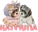 Katerina