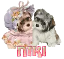 Niki