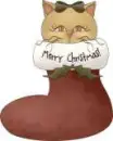 cat in a stocking