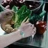 Fall of the apple
