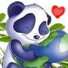 BEAR HUG