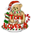 Santa Bear in a Cup
