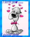 love
