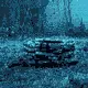 penguin ....