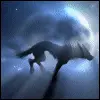wolf