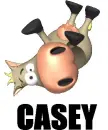Casey