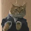 Dressed Up Cat
