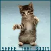 Shake that!