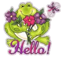 Hello~Frog