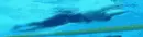 Natacion