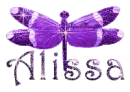 purple dragonfly alissa