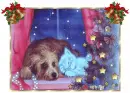 waiting for Santa