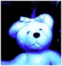 teddy bear