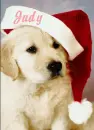 Judy Puppy