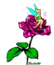 tink