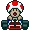 toad