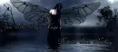 You saw my wings die
