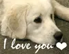 luv u