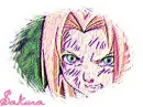 SakuraXP