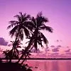 paradise