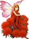 butterfly fairy