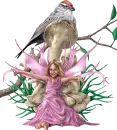 pink fairy