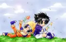 naruto vs. sasuke