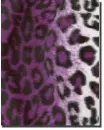 fur purple
