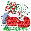 shoe with candy canes in it ,with a cat on the side