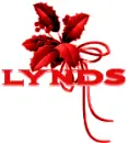 colorful holly-lynds