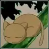 Tail Wiggling Kitty