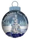Happy Holidays from Vanessa