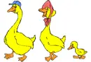 ducks