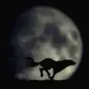 Moon Runner