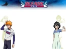 Bleach