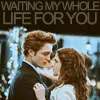 Waiting my whole life for you