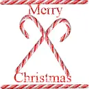 candy canes for christmas