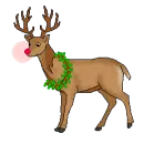 reindeer