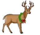 reindeer