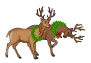 two reindeers