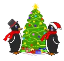 penguin family