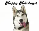 Happy Holidays