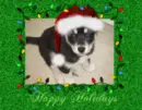 Happy Holidays