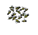tracy heart bees