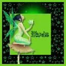 tracy fairy