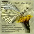 Prayer