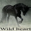 wild heart 