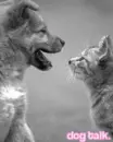dog talk