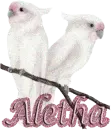 aletha
