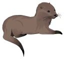 Lutra